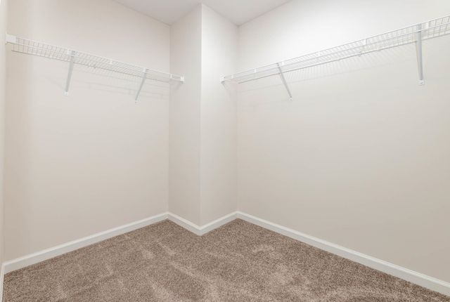 336 RookRoost Circle, Conway, SC 29526