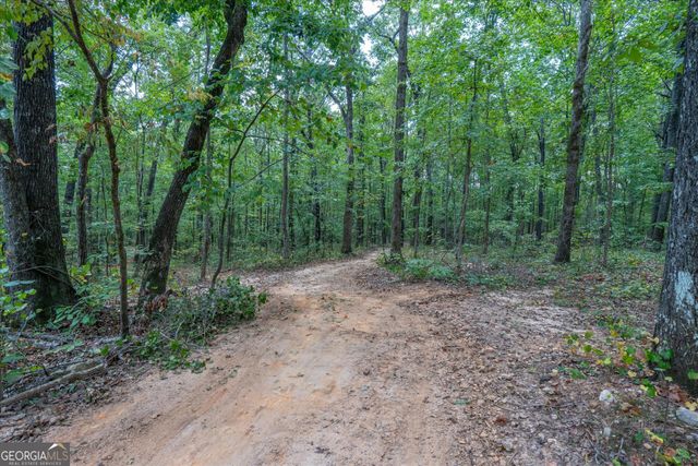 6058 Mount Zion Road, Waco, GA 30182