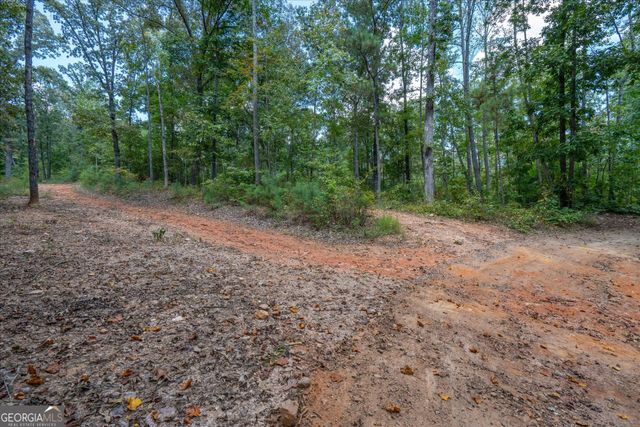 6058 Mount Zion Road, Waco, GA 30182