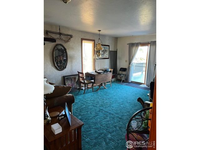 4360 Green Mountain Dr, Livermore, CO 80536