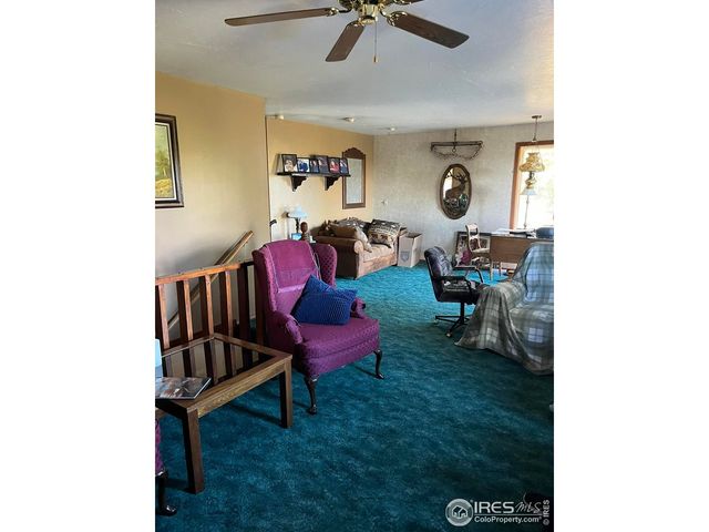 4360 Green Mountain Dr, Livermore, CO 80536