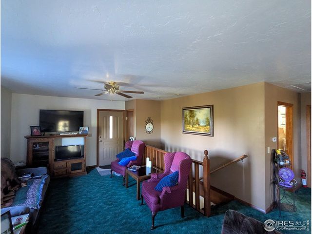 4360 Green Mountain Dr, Livermore, CO 80536