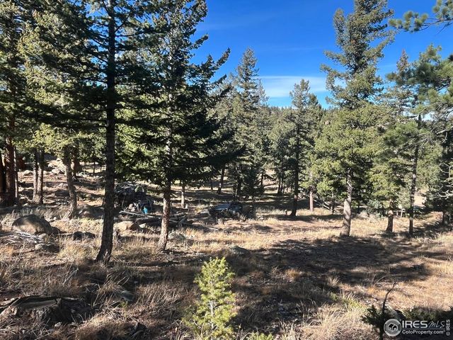 4360 Green Mountain Dr, Livermore, CO 80536