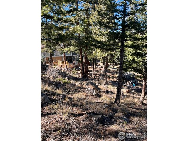 4360 Green Mountain Dr, Livermore, CO 80536