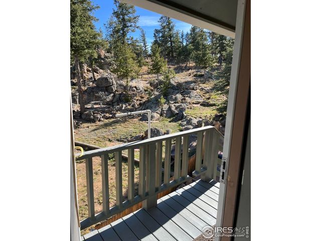 4360 Green Mountain Dr, Livermore, CO 80536