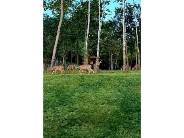 899 Gavin Pass, Hudson, WI 54016