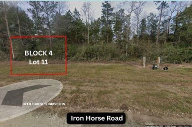 305 Iron Horse Road, Willis, TX 77378
