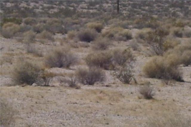 0 Mannix, Newberry Springs, CA 92365