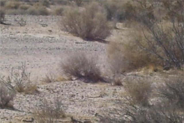 0 Mannix, Newberry Springs, CA 92365