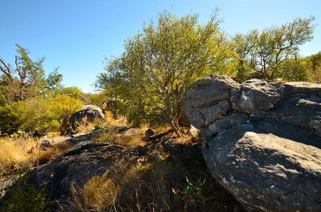 29031 Paiute ST, Horseshoe Bay, TX 78657