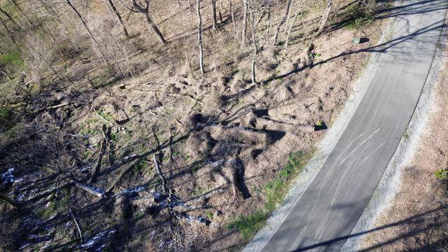 0 Lola Dr Lots 213 & 237, Smithville, TN 37166