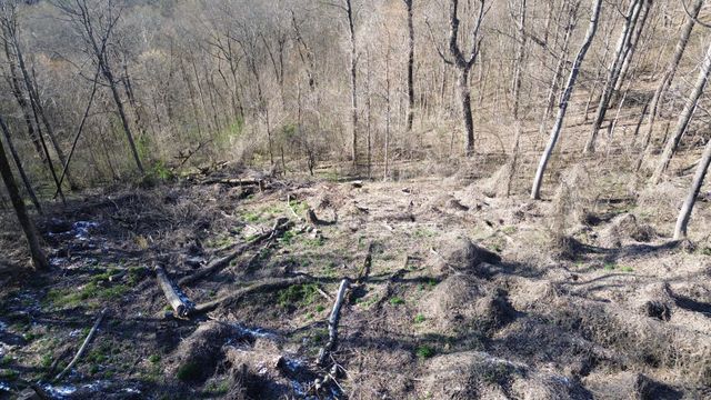 0 Lola Dr Lots 213 & 237, Smithville, TN 37166