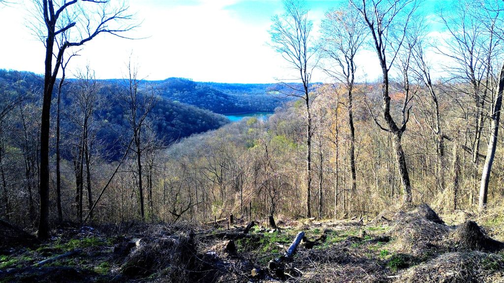 0 Lola Dr Lots 213 & 237, Smithville, TN 37166