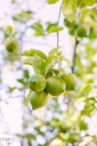 136 S Arden Boulevard, Los Angeles, CA 90004