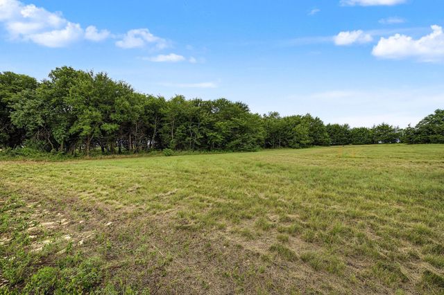 TBD Lot 1 FM 981, Leonard, TX 75452