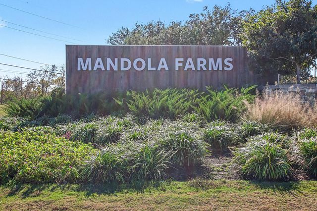 1147 Muscadine Hollow Lane, Richmond, TX 77406