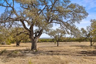 535 Becker Road, Johnson City, TX 78636