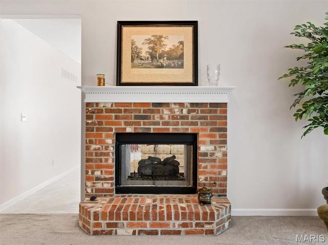 113 Christopher Place, St Louis, MO 63129