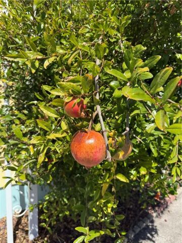 3057 S Higuera Street 73, San Luis Obispo, CA 93401