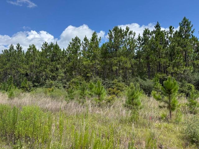 0 Plantation Trace, Longville, LA 70652