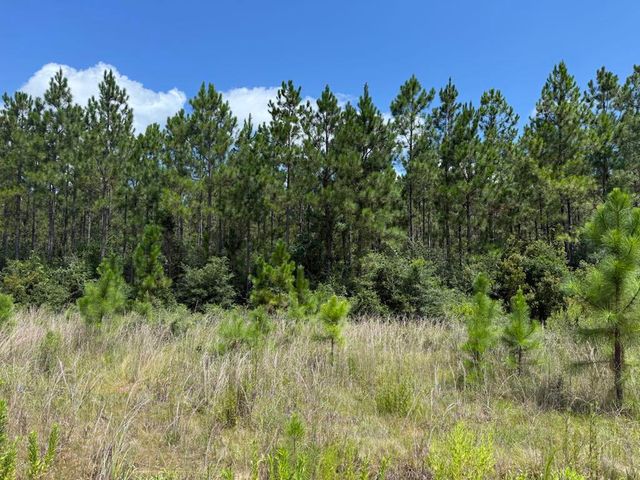 0 Plantation Trace, Longville, LA 70652