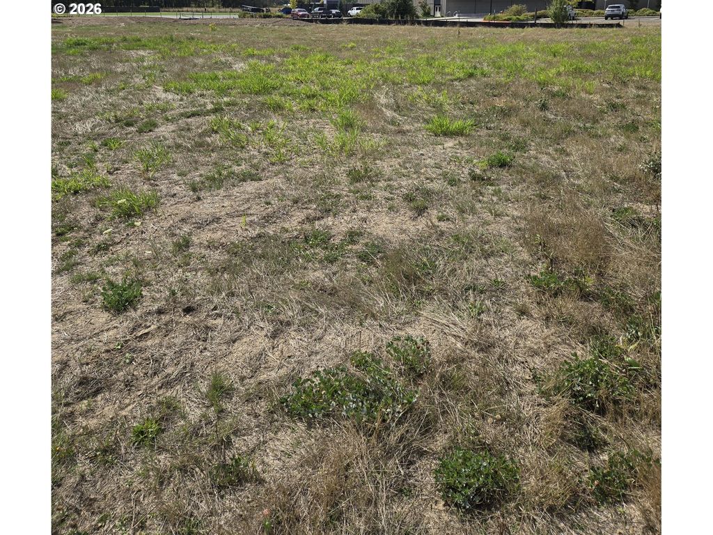 128 E AIREDALE Ave, La Center, WA 98629