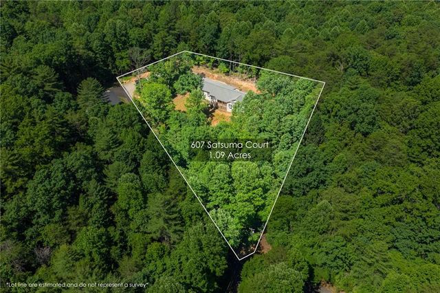607 Satsuma Court, Ellijay, GA 30536