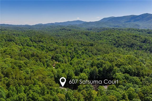 607 Satsuma Court, Ellijay, GA 30536