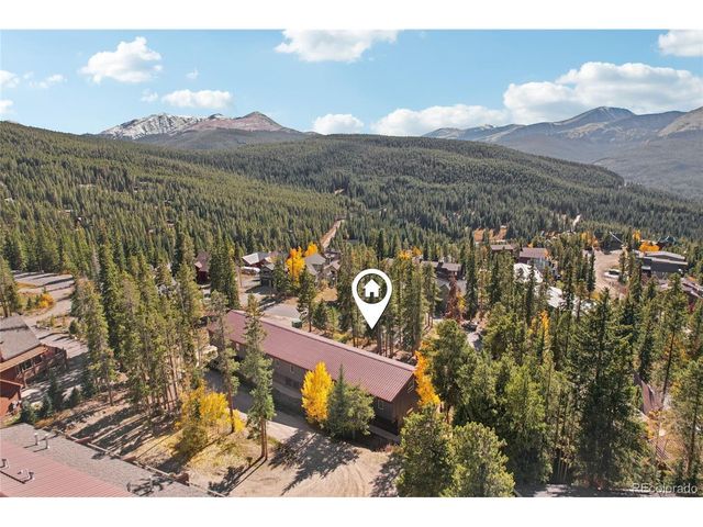 166 S Fuller Placer Rd 6, Breckenridge, CO 80424