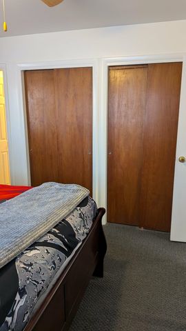 3741 S Shepherd Road, Chippewa Twp, MI 48858