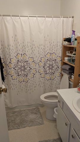 3741 S Shepherd Road, Chippewa Twp, MI 48858