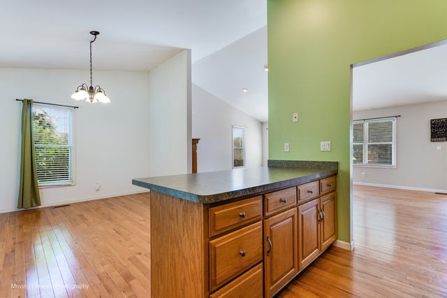 507 E Rennesoy Drive, Newark, IL 60541
