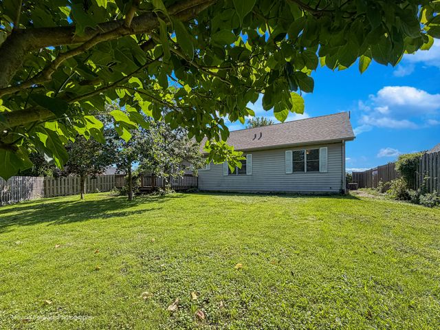 507 E Rennesoy Drive, Newark, IL 60541