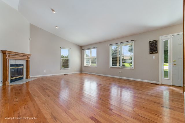 507 E Rennesoy Drive, Newark, IL 60541