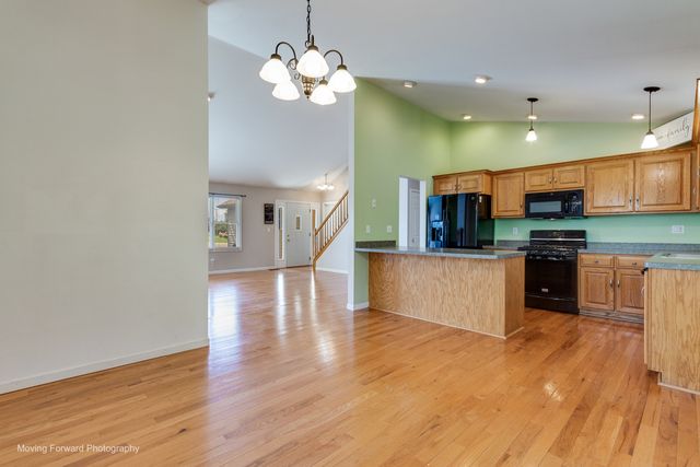 507 E Rennesoy Drive, Newark, IL 60541
