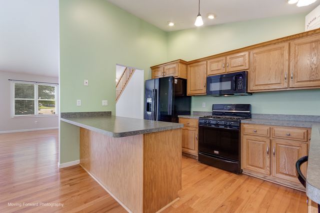 507 E Rennesoy Drive, Newark, IL 60541