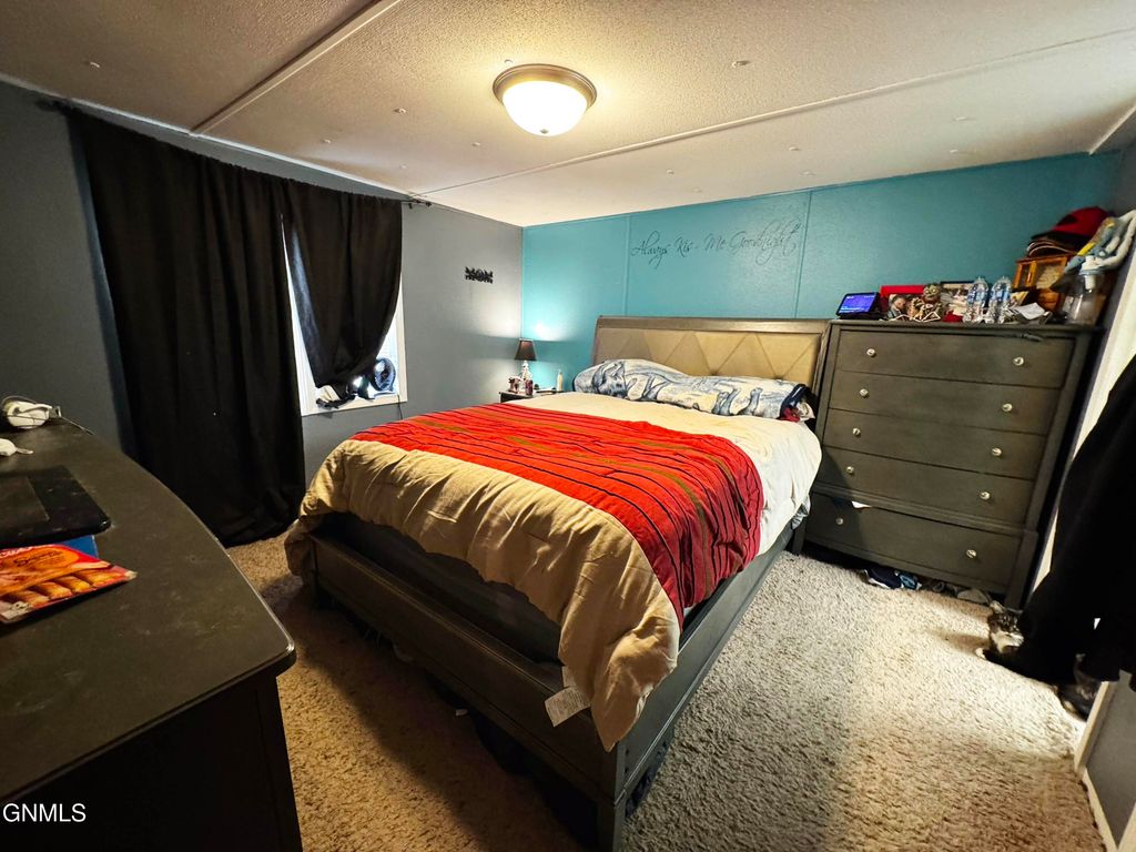 203 Deer Street, Mandan, ND 58554 photo 10