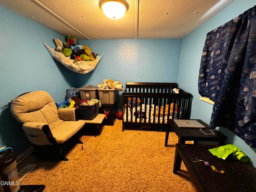 203 Deer Street, Mandan, ND 58554 photo 9