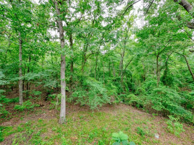 1508 Canadian Drive, Scroggins, TX 75480