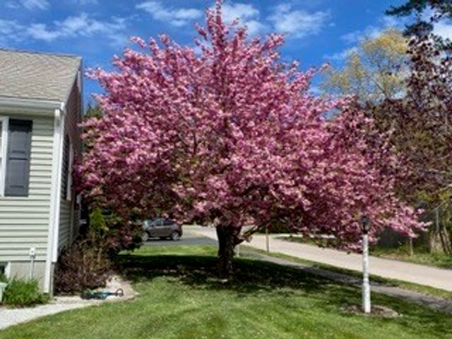 3 Lynne Rd, Wareham, MA 02571