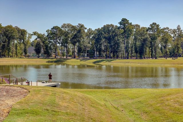 7420 Caprock Canyon Lane, Porter, TX 77365