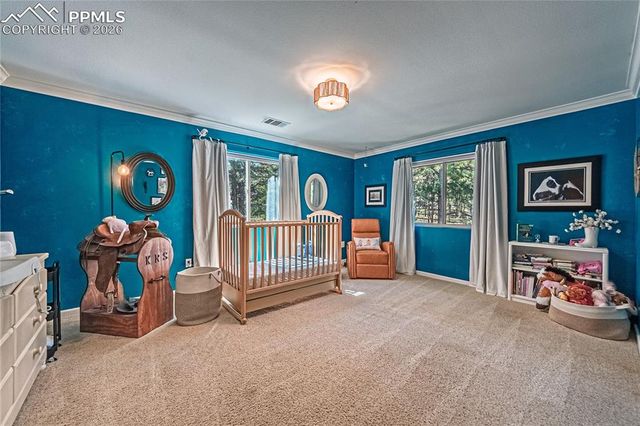 1210 Kenosha Drive, Larkspur, CO 80118