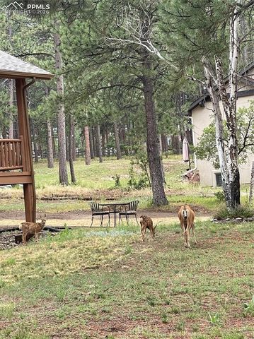 1210 Kenosha Drive, Larkspur, CO 80118