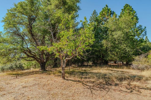 17900 Holly Rd, Fiddletown, CA 95629