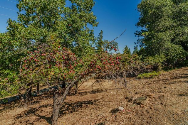 17900 Holly Rd, Fiddletown, CA 95629