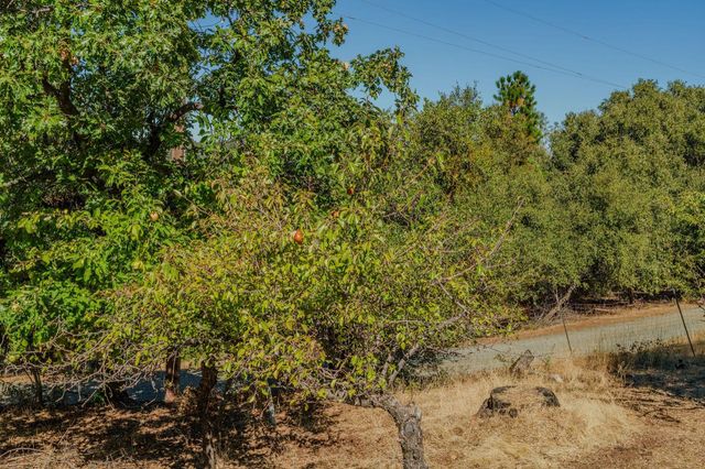 17900 Holly Rd, Fiddletown, CA 95629