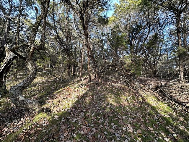 0 Hwy 187, Eureka Springs, AR 72631