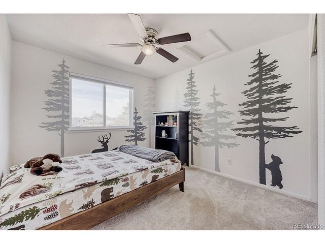 388 Hampstead Ave, Castle Rock, CO 80104