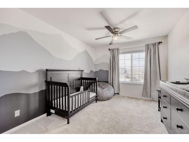 388 Hampstead Ave, Castle Rock, CO 80104