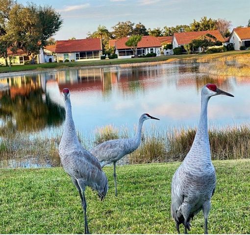 4935 PEPPERWOOD PLACE, Venice, FL 34293